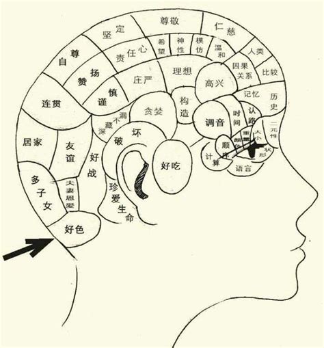 頭顱形狀|顱相學